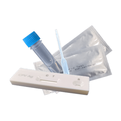 Rapid Test