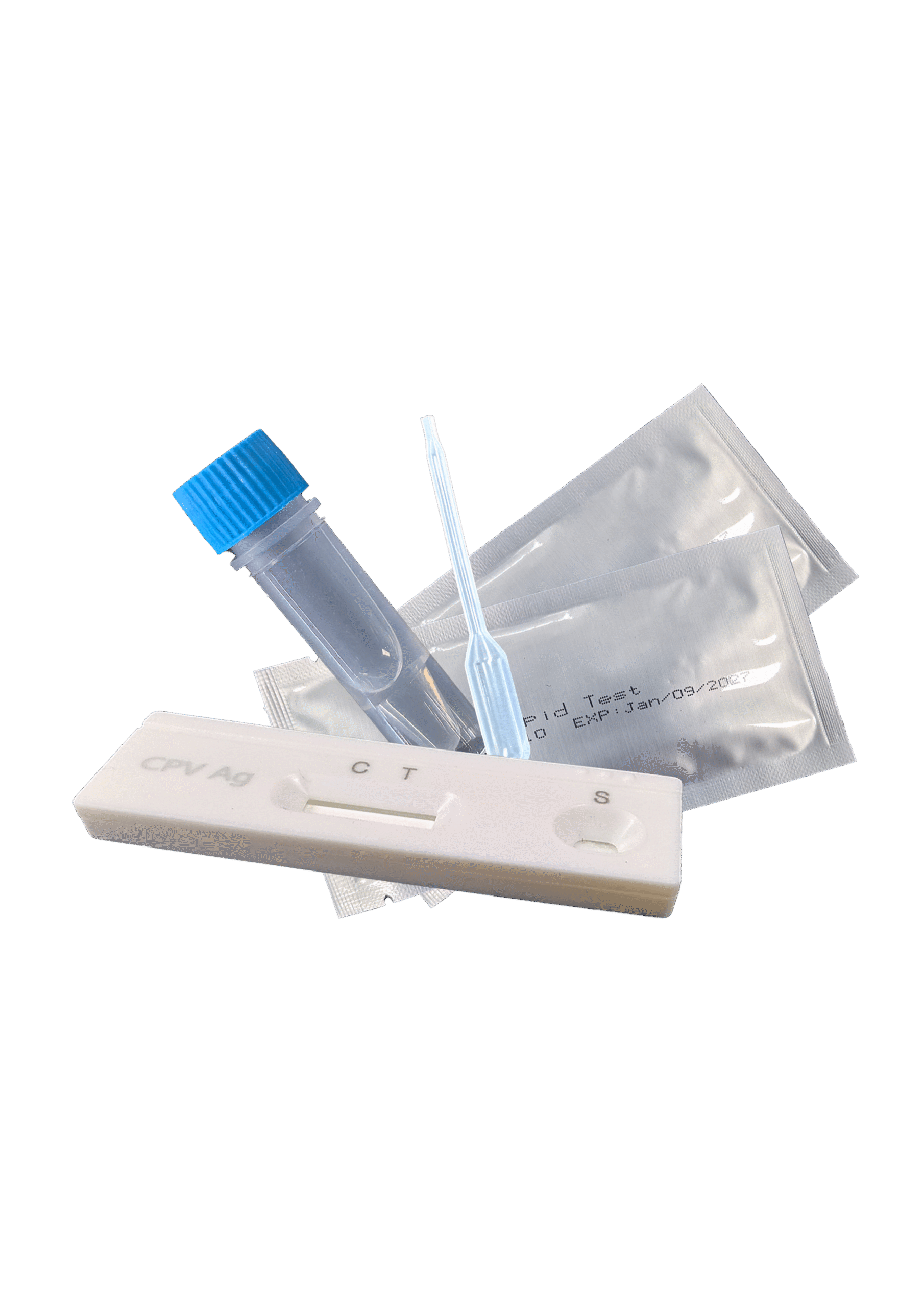 Rapid Test