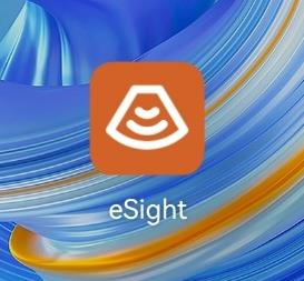 eSight